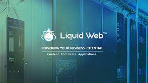 Read more about the article Why Choose LiquidWeb for Your Web Hosting Needs?