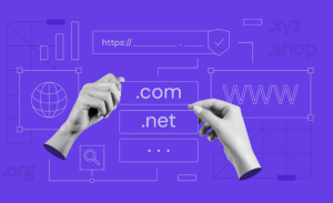 Read more about the article Choosing the Right Domain Name: The Key to a Successful Online Presence