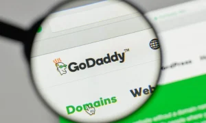 Read more about the article Maximizing Your Brand: The Importance of Choosing the Right Domain Name with GoDaddy