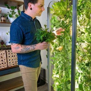 Read more about the article How Gardyn Revolutionizes Urban Gardening