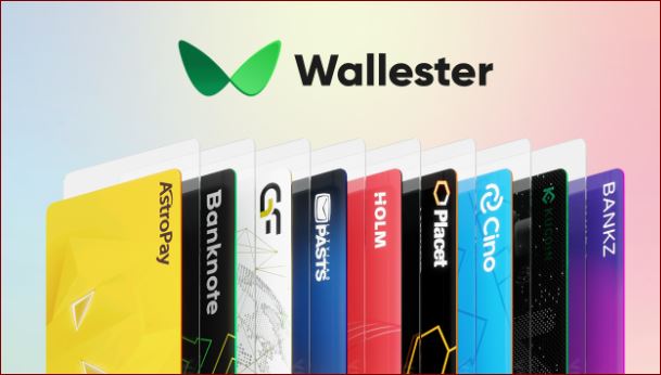 Read more about the article Wallester: Podrobná recenze inovativní platební platformy