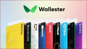 Read more about the article Wallester: Kompleksowa recenzja jego funkcji i korzyści