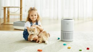 Read more about the article Why Levoit Air Purifiers Are a Must-Have for Every Household