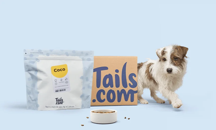 Read more about the article Tails : Choosing the Best Dog Food for Your Furry Friend