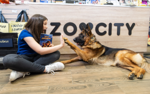 Read more about the article Why Zoocity.hr is the Go-To Resource for Animal Lovers in Croatia