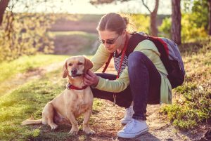 Read more about the article Zoocity.hr: Innovative Features That Make Pet Ownership Easier