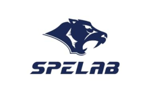 Read more about the article Spelab Parts Reviewed: Are They the Game Changer Your Car Needs?
